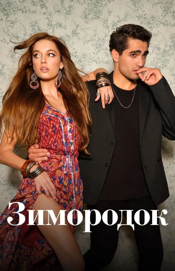 Зимородок 1-3 сезон турецкий сериал